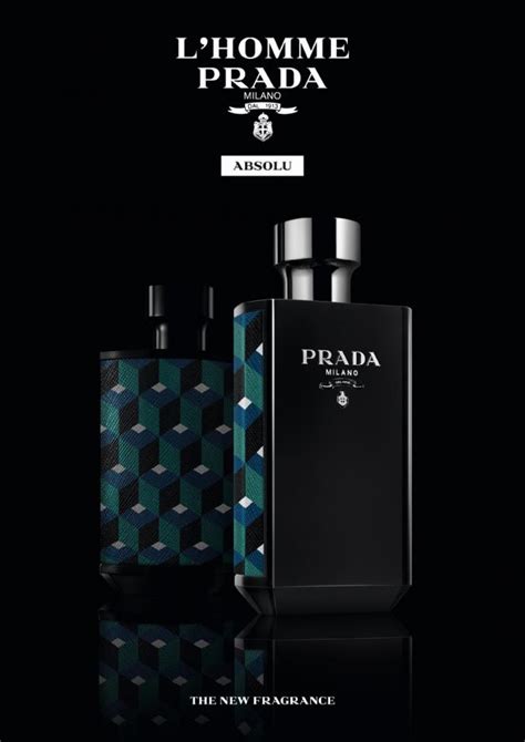 men's l'homme prada|l'homme prada collection.